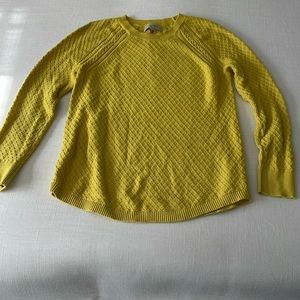 Yellow cotton loft sweater